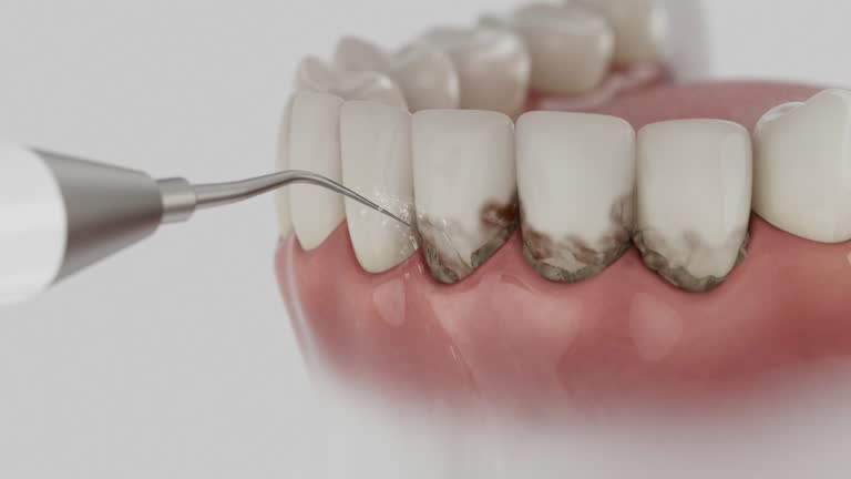 Reliable Dental contractor in Belleville, PA by Dentist Open Now